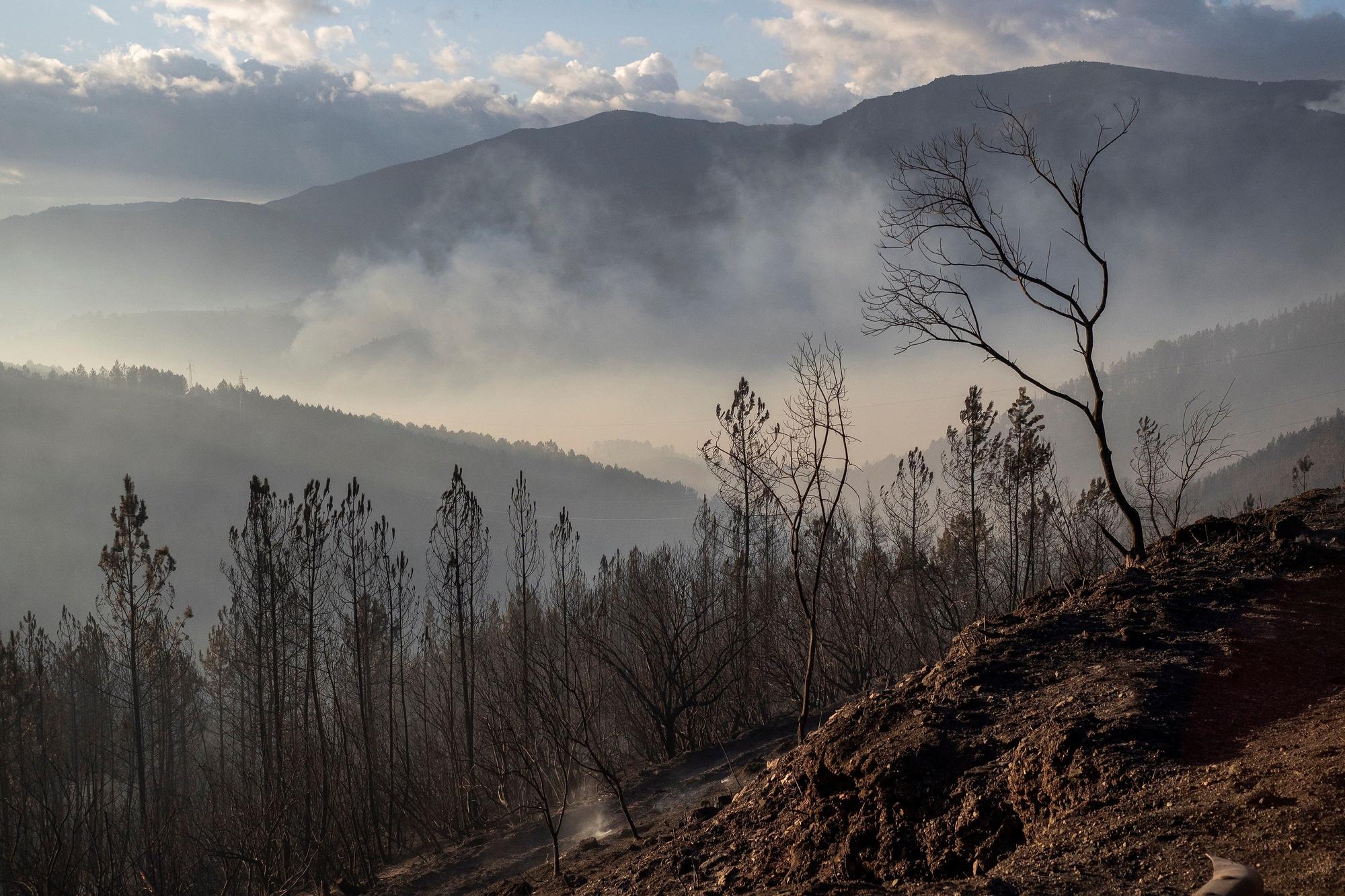 El fuego arrasa más de mil hectáreas en Ribas de Sil