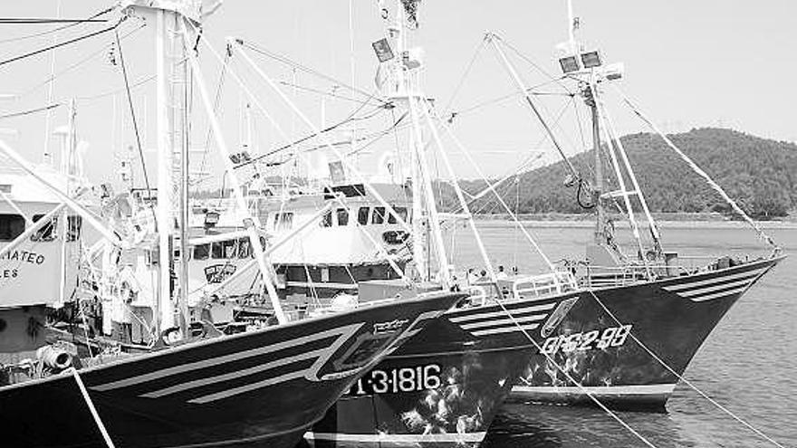 Cerqueros amarrados en el puerto de Avilés.