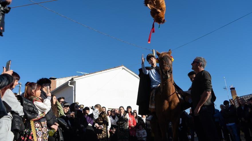 GALERÍA | Los quintos de El Pego ofrecen al gallo sus mejores versos