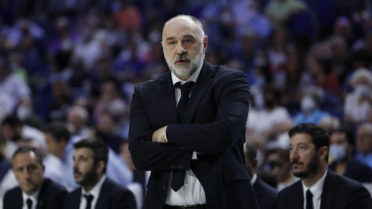 Pablo Laso, dirigiendo al Real Madrid.