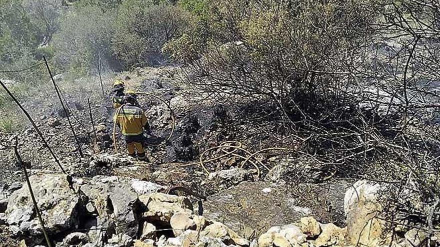 Incendio forestal en Selva