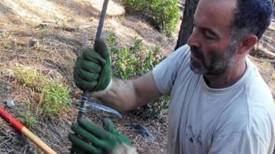 Instal·lació de les trampes d&#039;espores durant el treball de camp