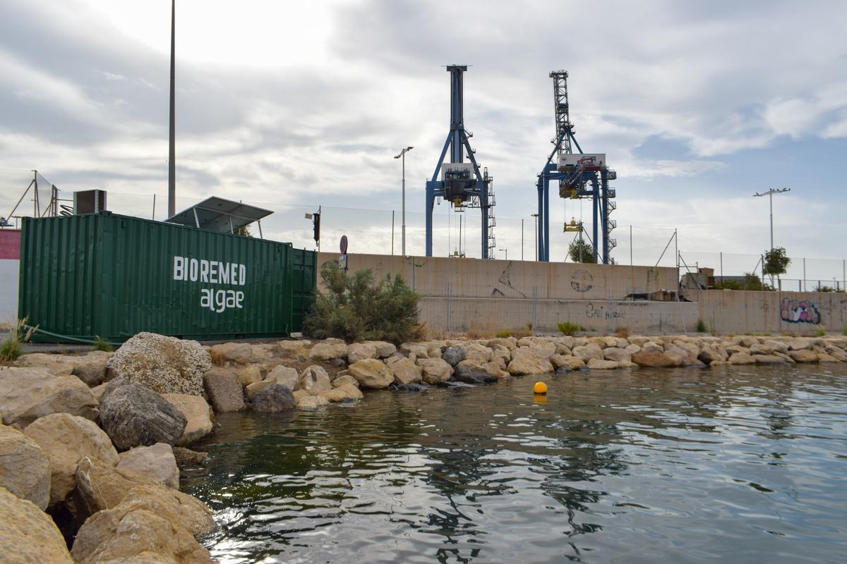 El filtro instalado en el puerto de Alicante.