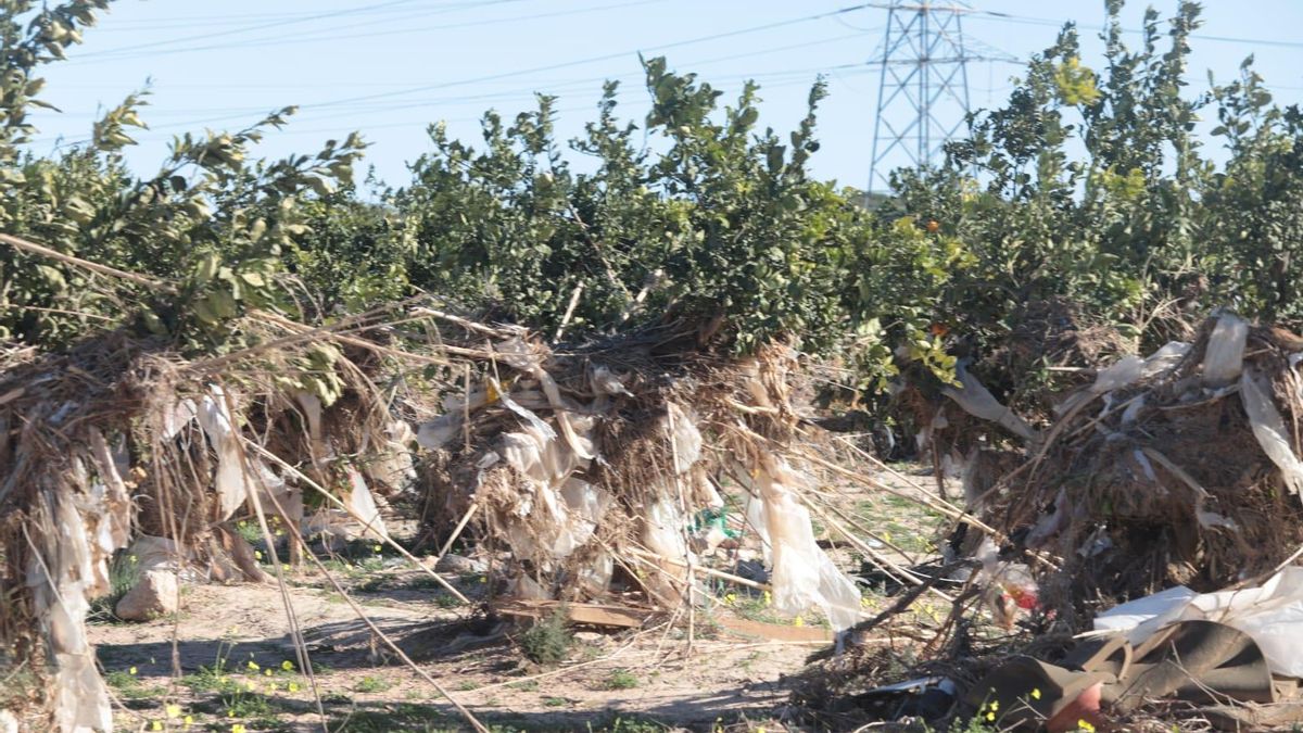 Materiales de desecho en un campo de cítricos en Picanya