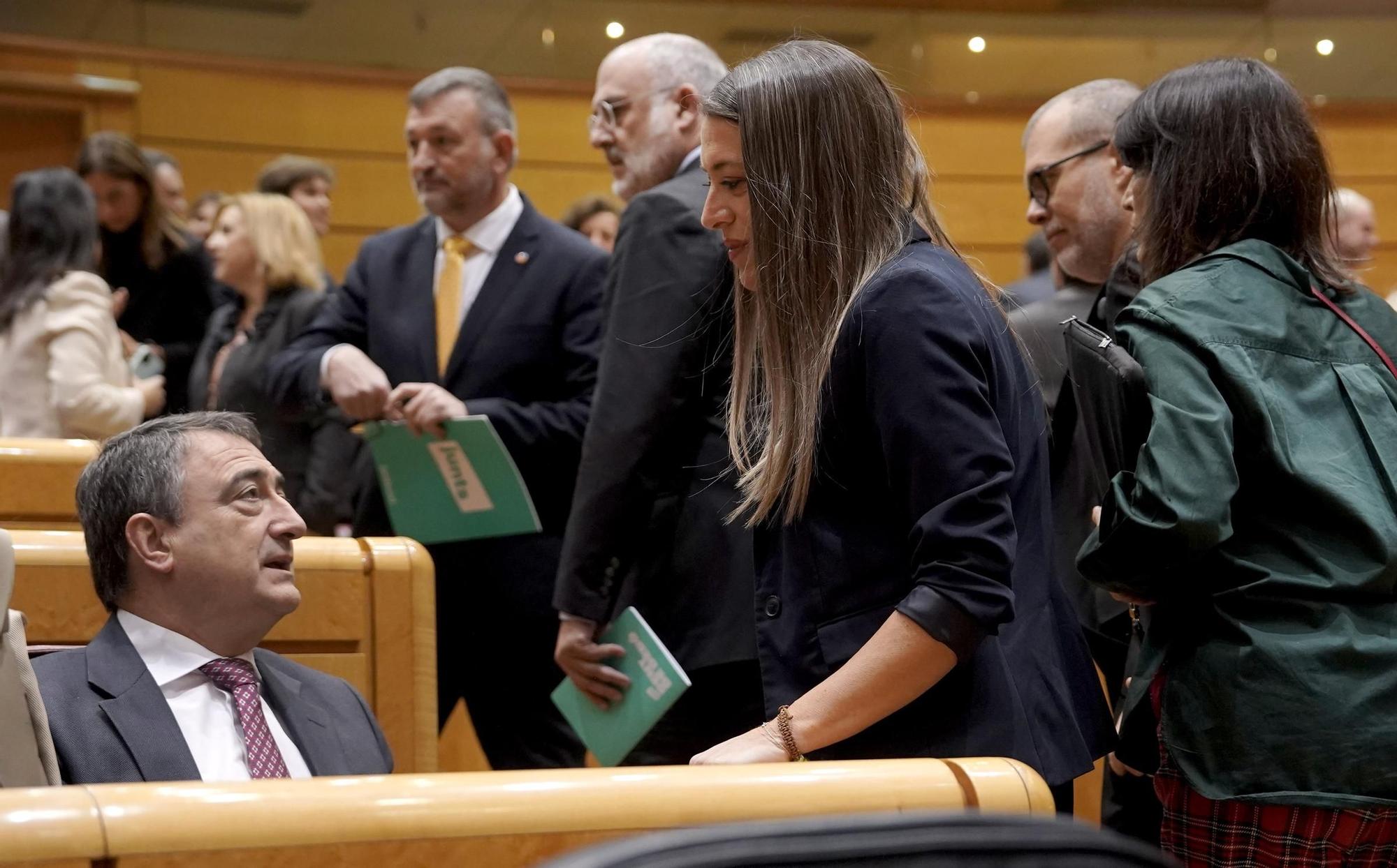 El pleno del Congreso debate y vota los decretos anticrisis, en imágenes