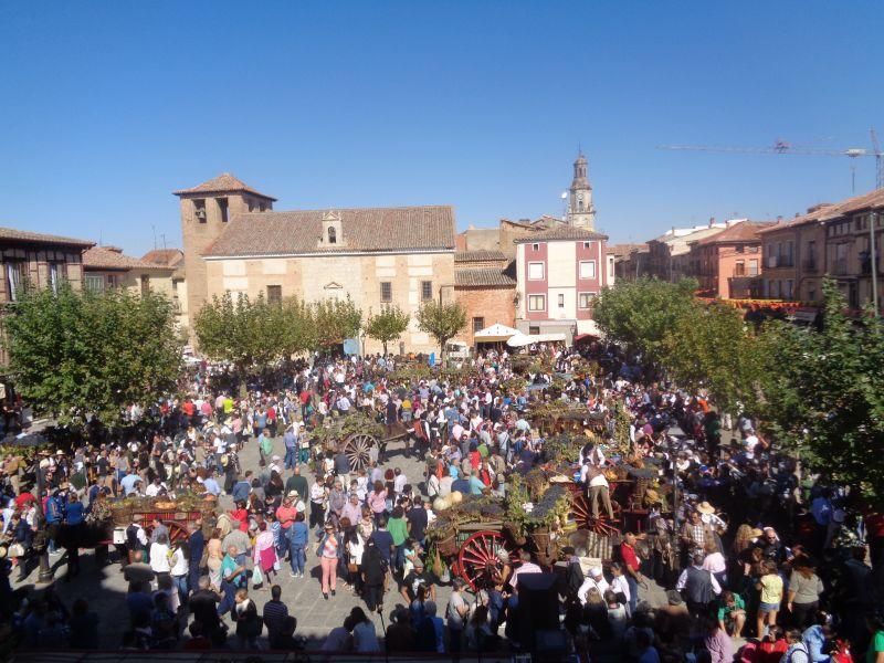 Desfile de carros en La Vendimia 2016 (Toro)