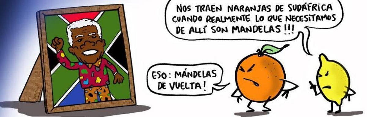 Castelló se rebela contra la peor crisis de los cítricos de las últimas dos décadas