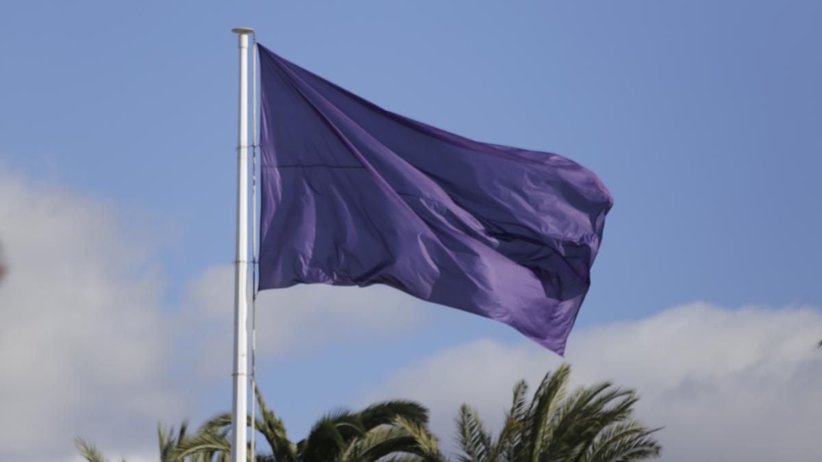 La bandera que ondeó en Elche el 8M en 2020