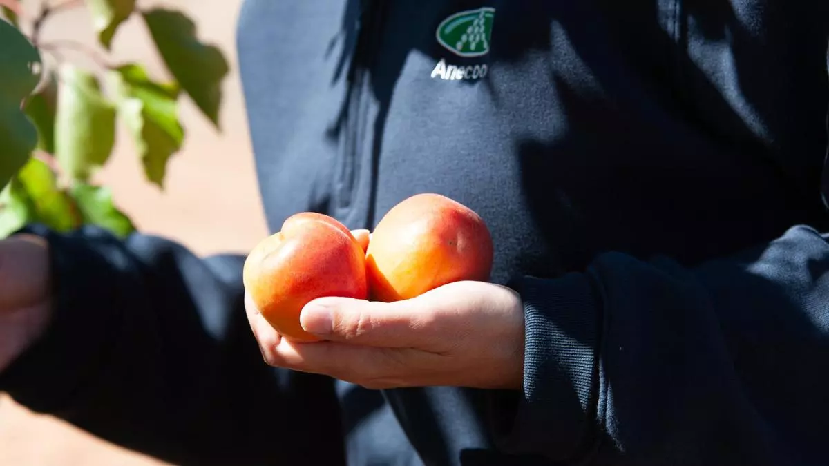 Necesitamos una educación nutricional sólida y consciente desde la infancia