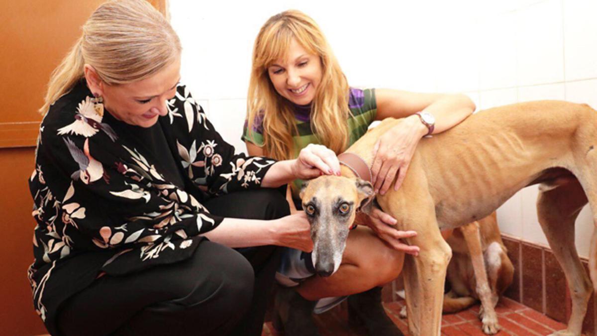 Cristina Cifuentes y Alejandra Botto contra el abandono animal