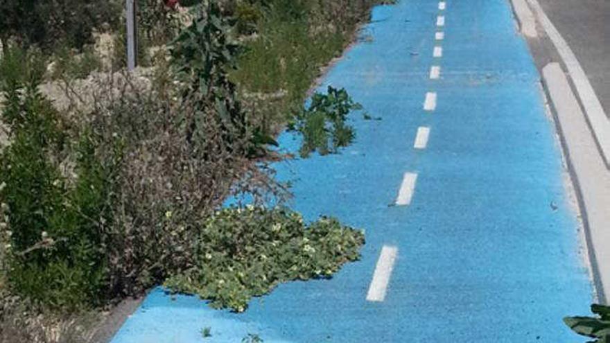 Desperfectos en el carril bici.