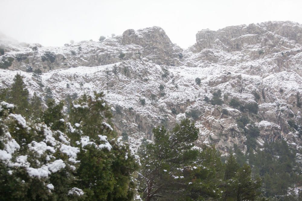 Nieve en la Serra de Tramuntana