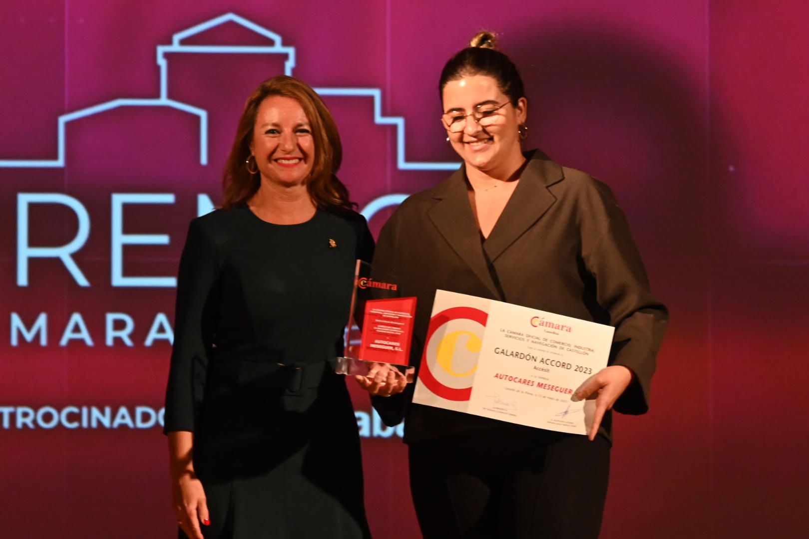 Galería: Entrega de los Premios de Cámara