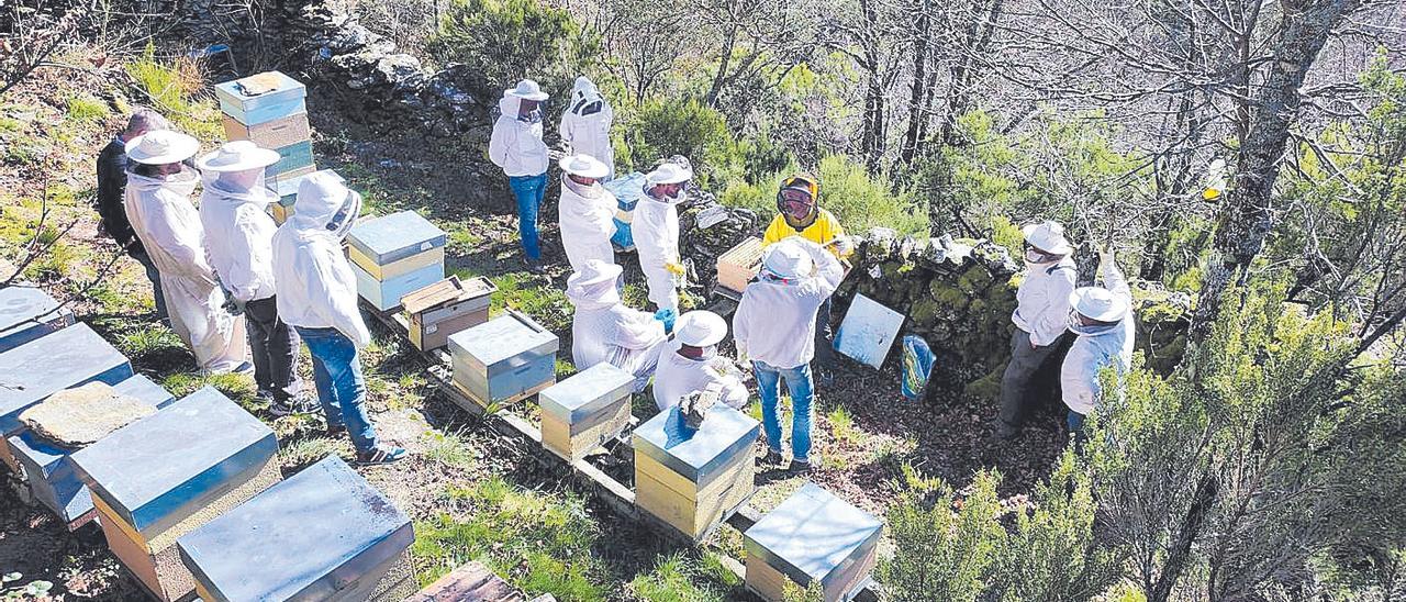 Los asistentes a la jornada técnica del proyecto Panega visitaron varios colmenares de A Moa.