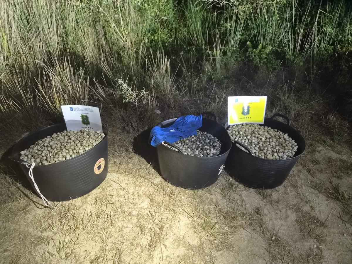Baldes co berberecho incautado aos catro furtivos en Corrubedo.