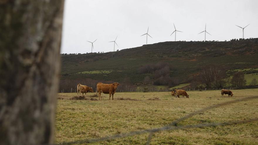 La industria asturiana modera su caída al 1,1%, lastrada aún por la energía