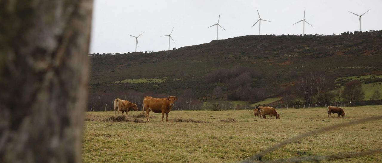 Parque eólico en Asturias.