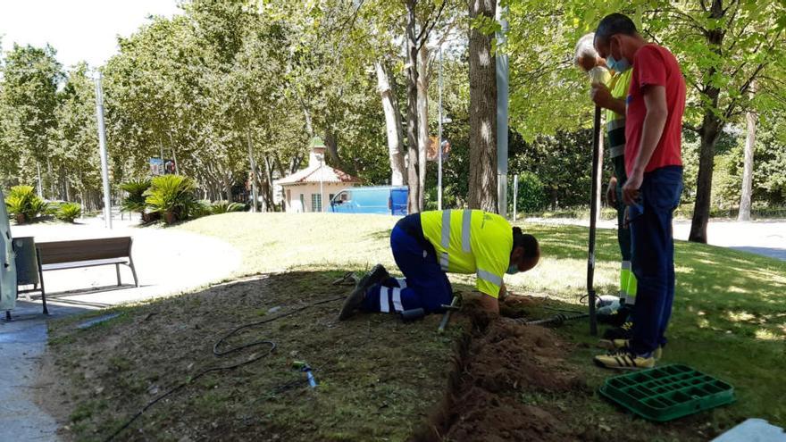 Instal·lació del nou sistema de reg.