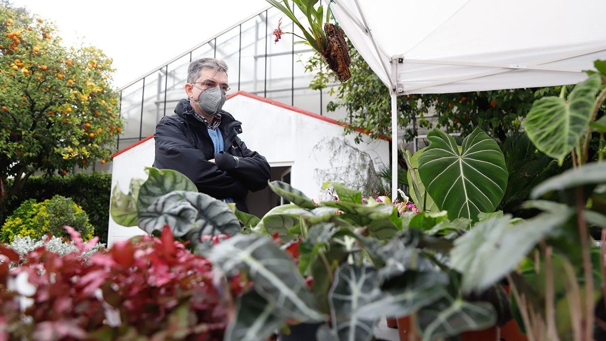 Un hombre visita el Real Jardín Botánico de Córdoba.