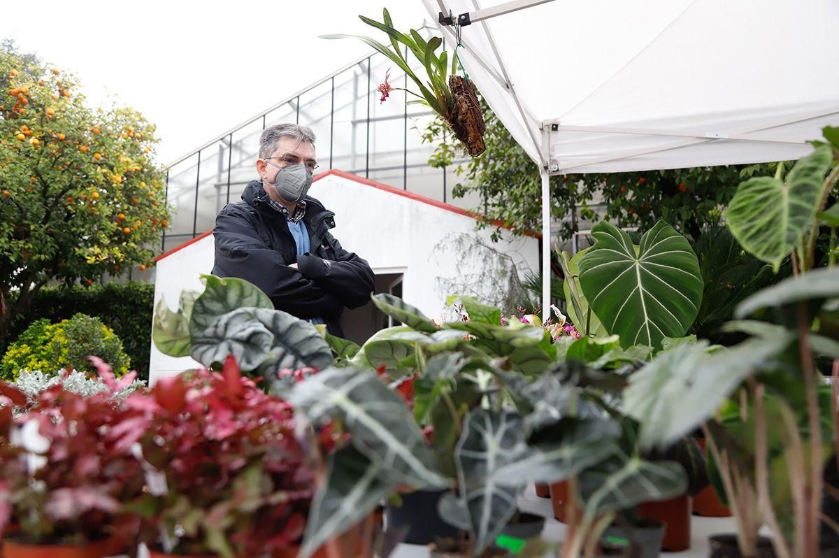 Un hombre visita el Real Jardín Botánico de Córdoba.