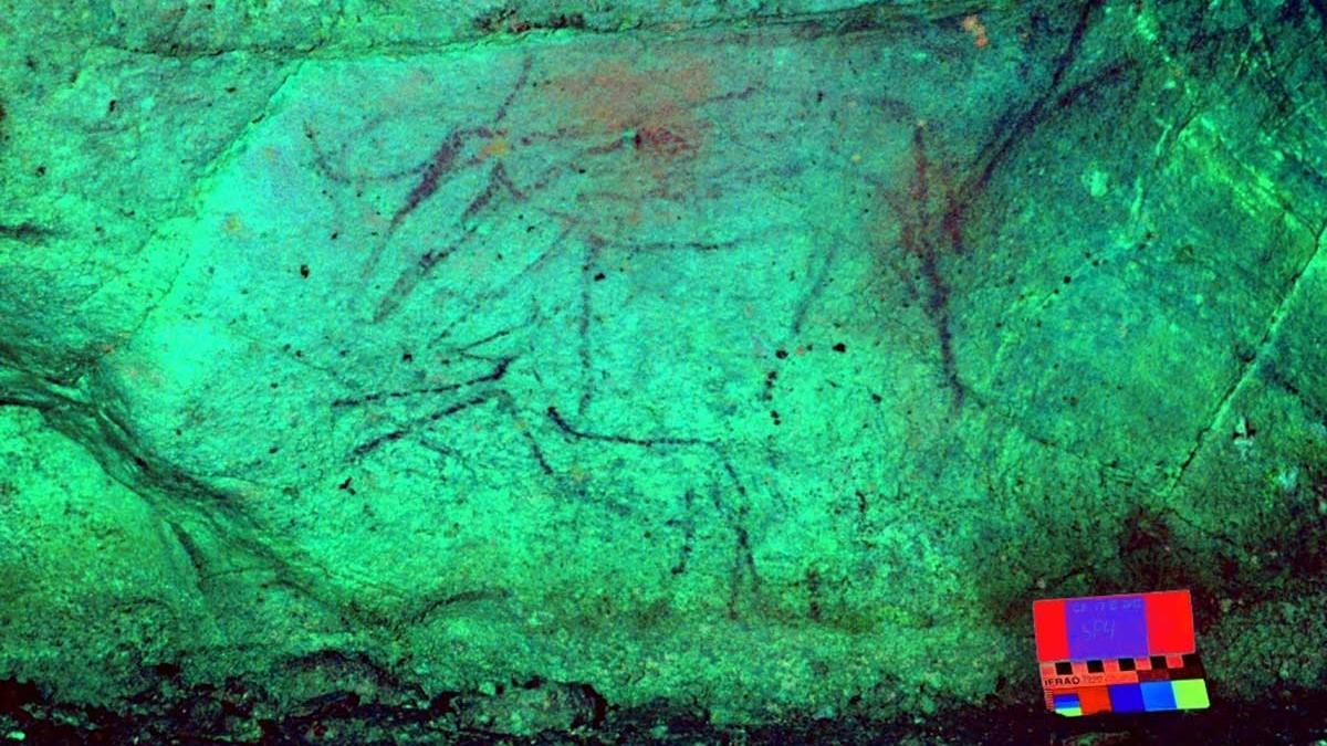 Uno de los animales representados en las paredes mediante pintura rupestre. 