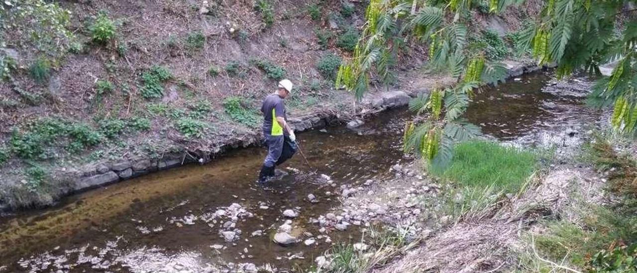 Un operario limpia la basura del río Barbaña, la mayoría procedente de la feria. // FdV