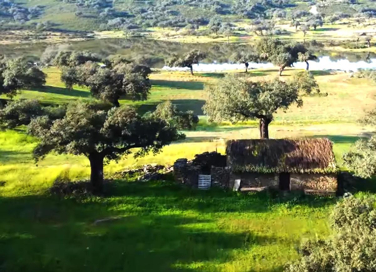 Proyecto nuevo en Campo Oliva.