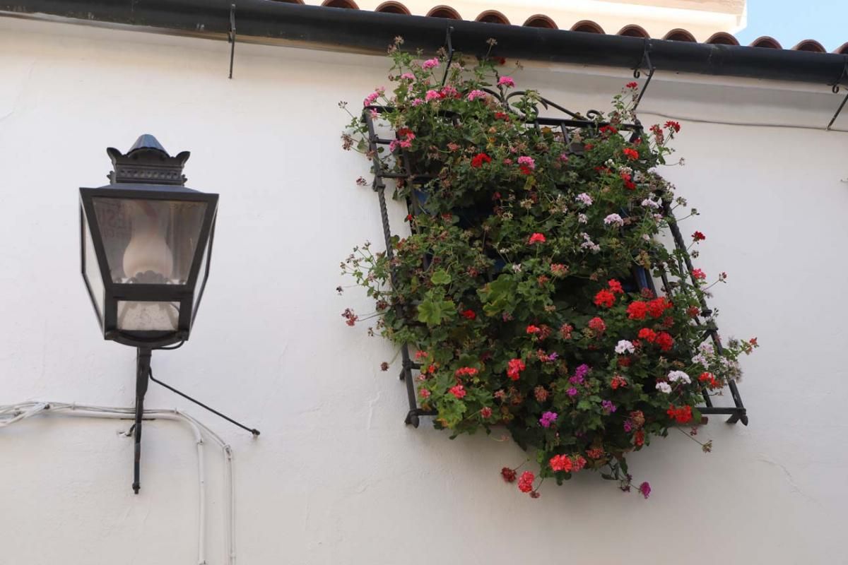 Rejas y balcones en junio