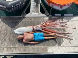Un investigador de la UVigo diseccionará al “kraken” de Tenerife