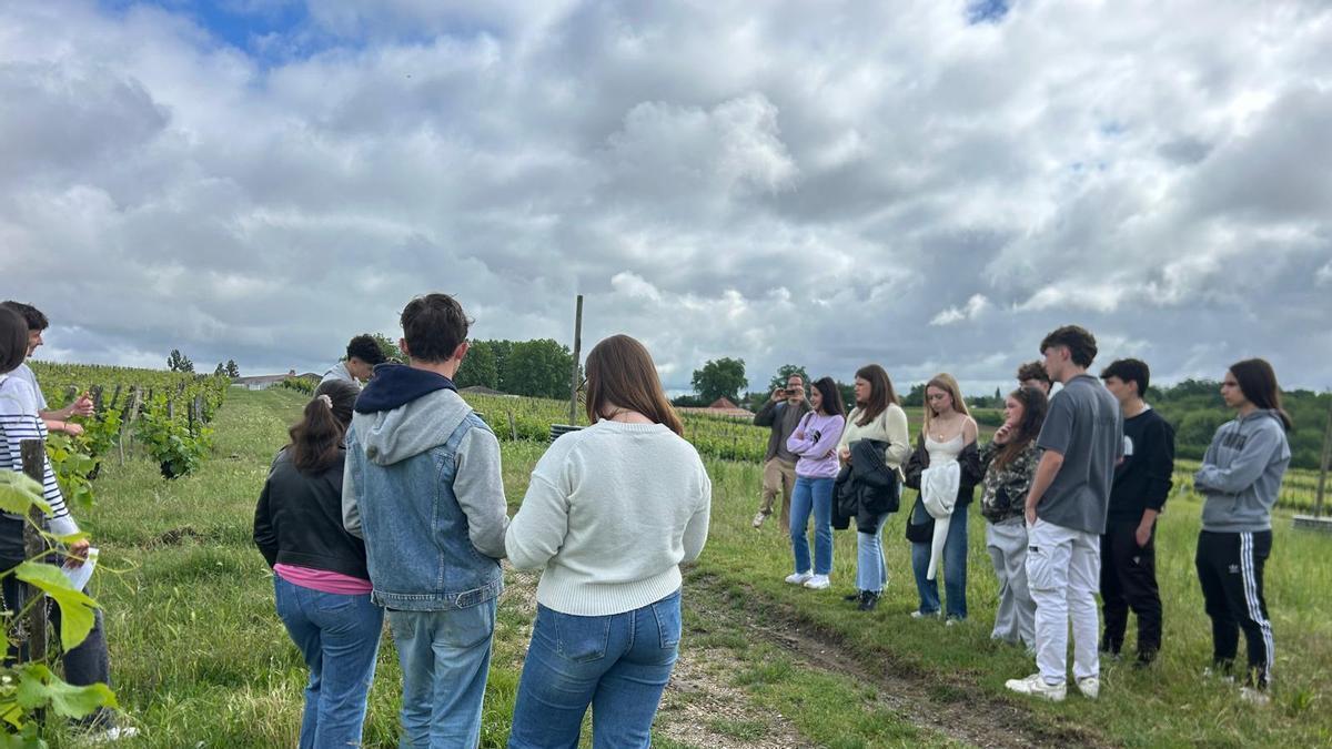 Alumnos de la Escuela de Viticultura y Enología de la Diputación intensifican su formación en el extranjero.