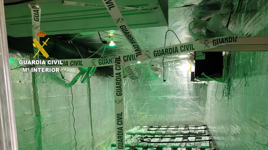 Desmantelan en Castellón un sofisticado sistema de cultivo de cannabis