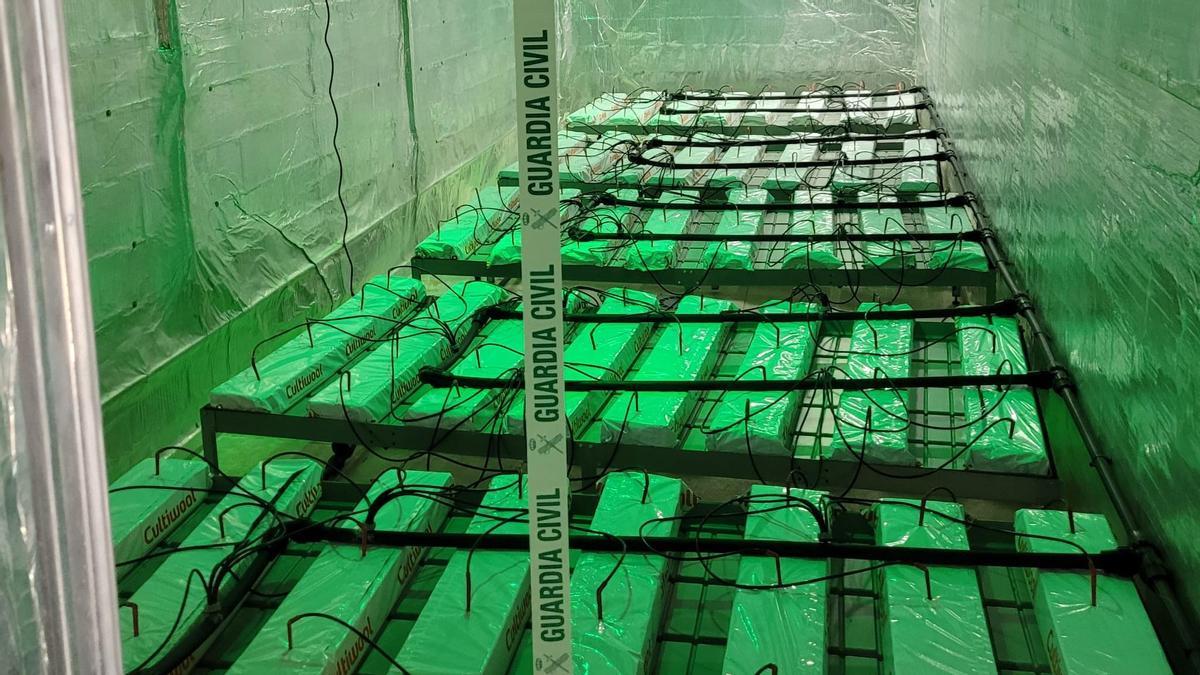 Imagen del sofisticado sistema de cultivo de cannabis descubierto por la Guardia Civil en L'Alcora