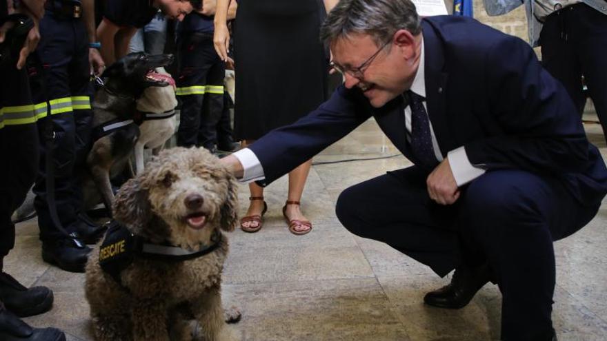 El ayuntamiento acuerda compartir sus perros de rescate con el Consell