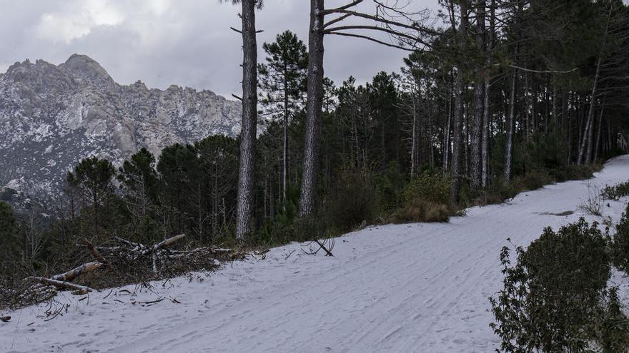 Nieve en la Sierra de Madrid.