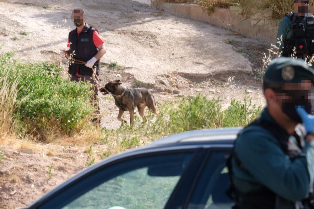 Macrooperación de la Guardia Civil contra el narcotráfico en Elda