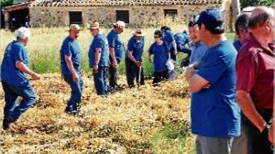 La fira del segar de Llagostera recorda la vida al camp.