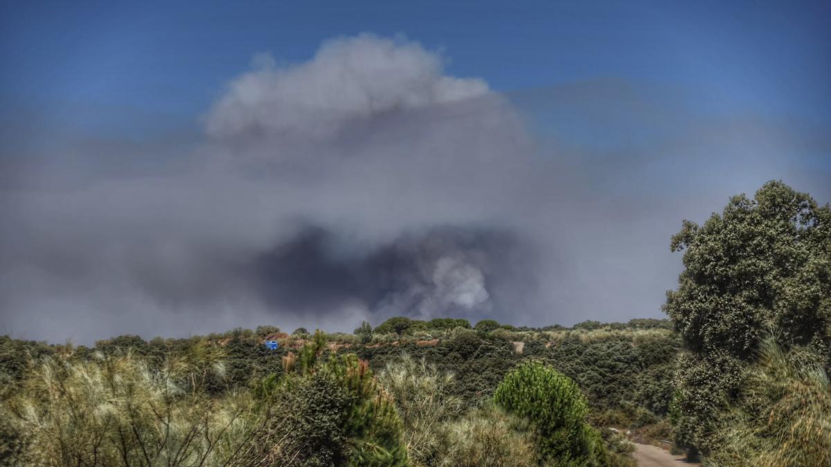 Entre un 10% y un 30% de las personas que sufren una intoxicación por monóxido de carbono pueden desarrollar un síndrome neurológico tardío