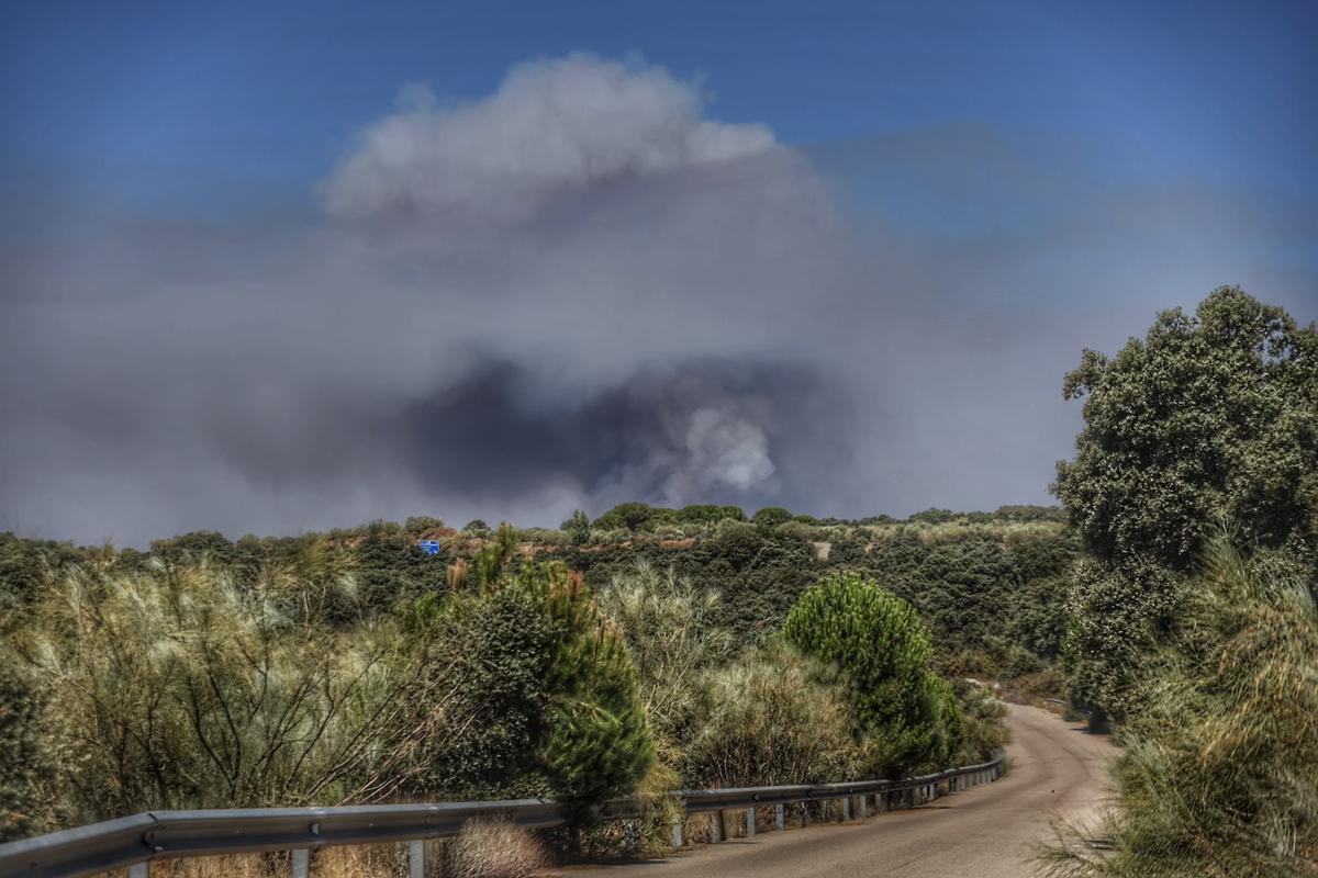 El incendio desde Navas del Rey.