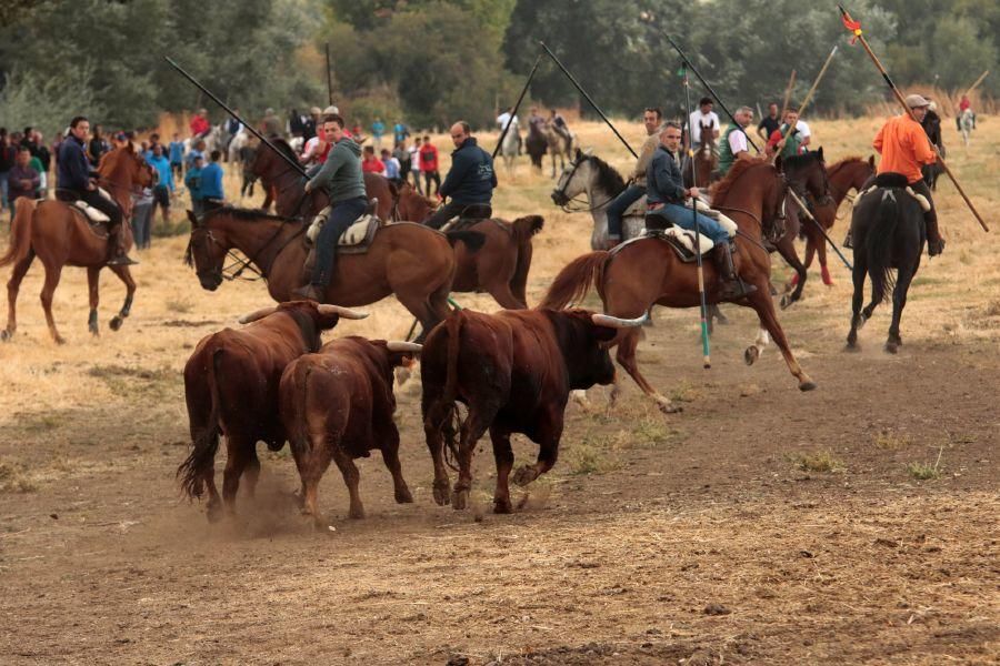 Encierro en San Miguel de la Ribera