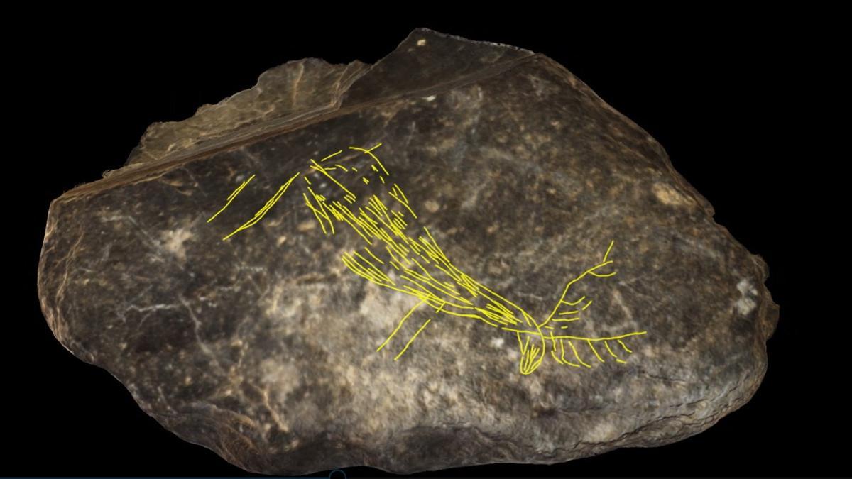 Piedra con grabado de animal prehistórico