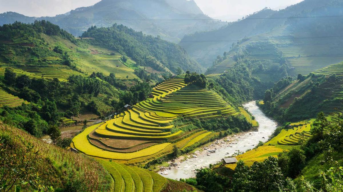 Terraza arroz, Vietnam