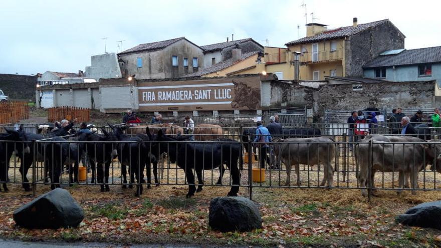 Més d´un centenars d´animals a la fira ramadera de Sant Lluc