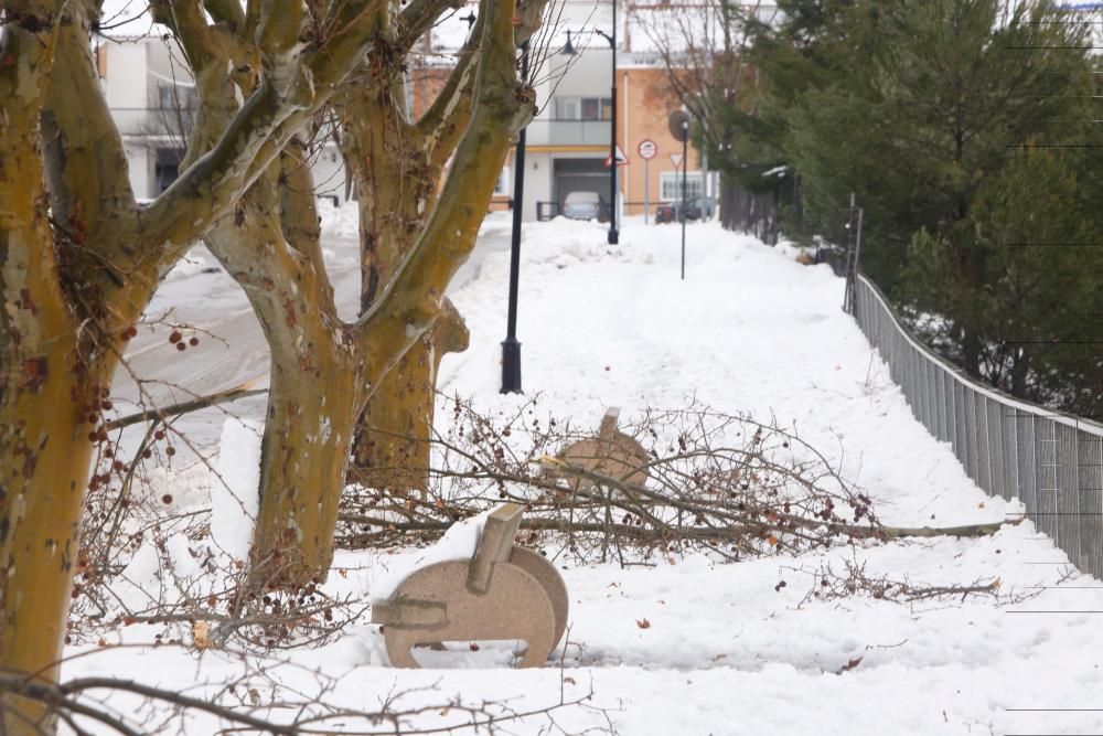 Efectos del temporal de nieve en Requena