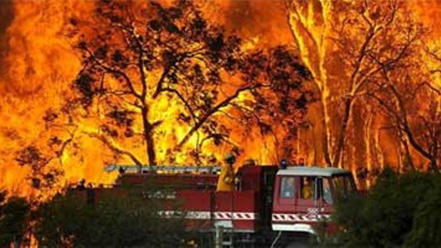 Aumenta a 84 el número de muertos en los incendios del sur de Australia