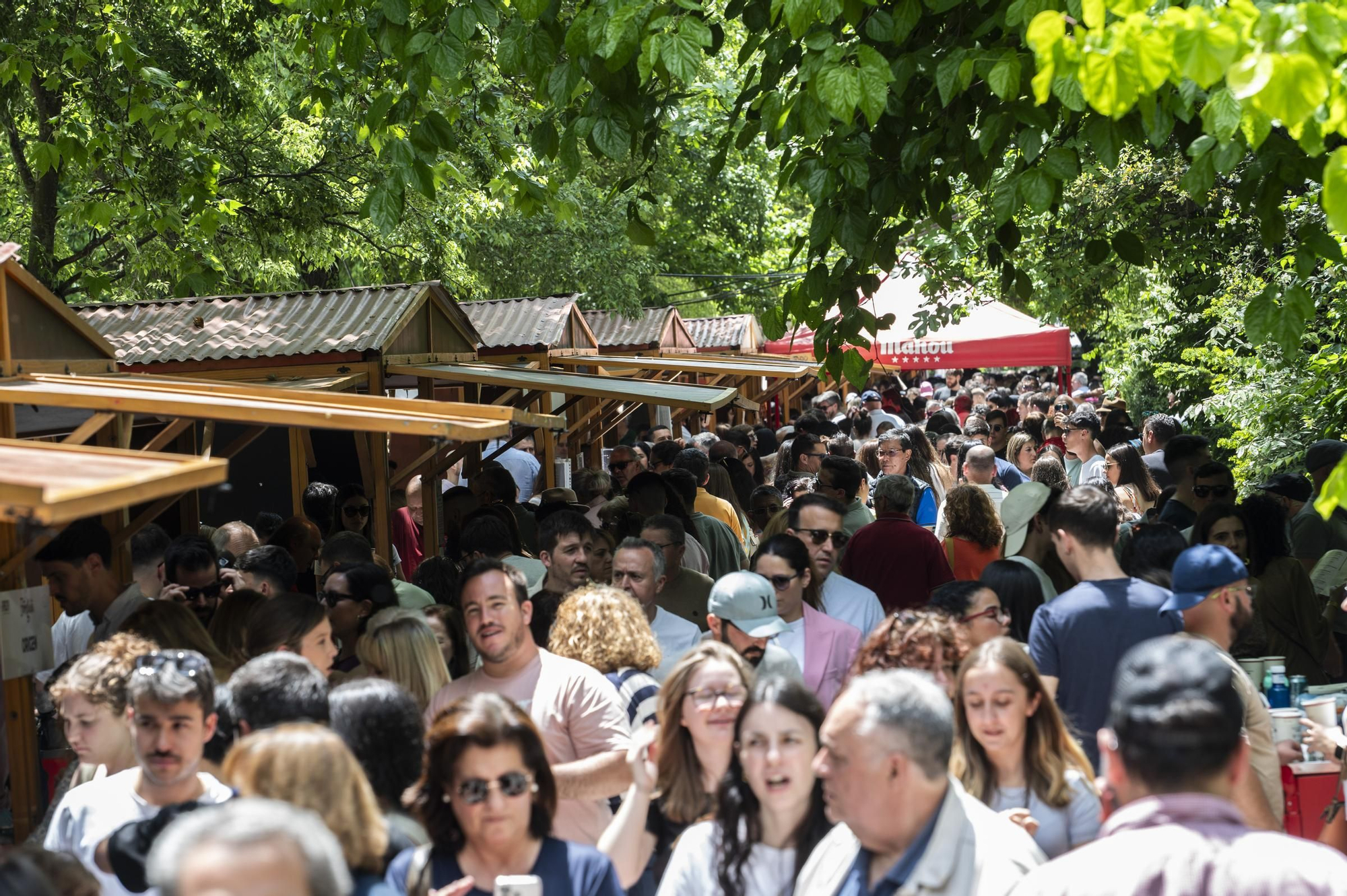 FOTOGALERÍA | Búscate en las fotos de Extregusta, este sábado en Cáceres