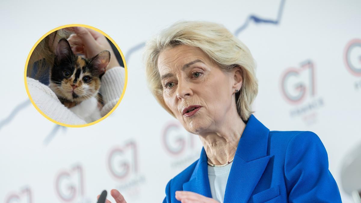 Nueva normativa europea para el control de perros y gatos: registro obligatorio a partir de 2028