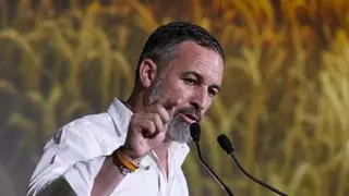 Vox ve "distinta" la situación del reparto de menores a la que le llevó a romper los gobiernos con el PP en 2024