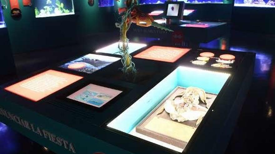 Los comportamientos sexuales más desconocidos, en el Aquarium Finisterrae