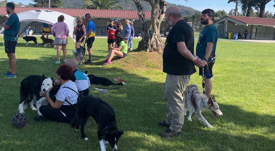 La prueba de la Liga Norte de Agility celebrada en Llanera, en imágenes