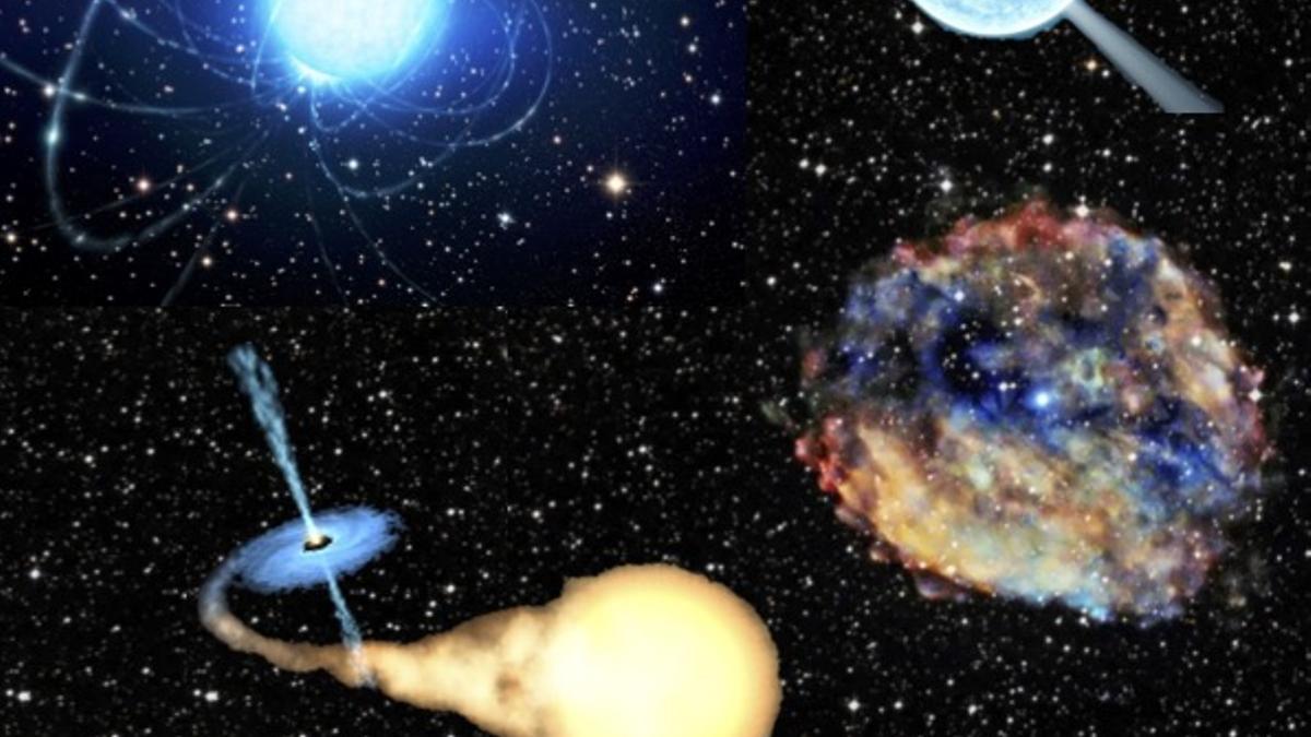 lgunos ejemplares del zoo de estrellas de neutrones. De derecha a izquierda y de arriba a abajo: un púlsar, el faro cósmico; magnetar, el gigante magnético; un Objeto Compacto Central: la reliquia estelar tras la explosión Supernova; y una binarias de rayos-X, el “caco” del Universo.